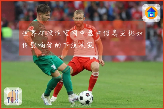 世界杯投注官网中盘口信息变化如何影响你的下注决策